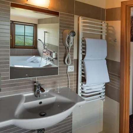Hotel Beskidzki Raj Medical Spa Отель 3*