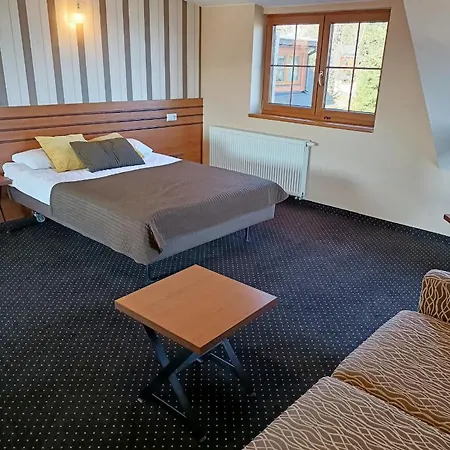 Hotel Beskidzki Raj Medical Spa 3* Стрышава